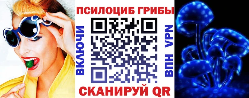 купить наркотик  Уяр  Галлюциногенные грибы Cubensis 